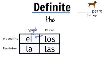 Definite/indefinite articles in Spanish beginner explanation: artículos definidos/indefinidos, el la