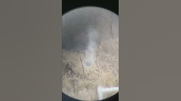 Smokeless Muzzleloader 300yds