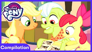 my little pony apple family reunion fun wildbrain kids wildbrain