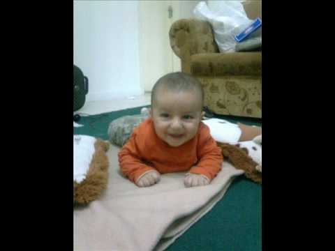 مين حبيب بابا محمد هنيدي