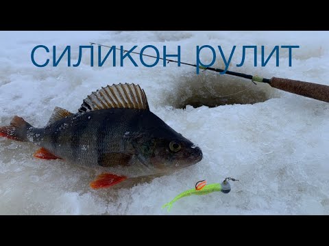 Силикон или балансир? Окунь на Рыбинке в глухозимье