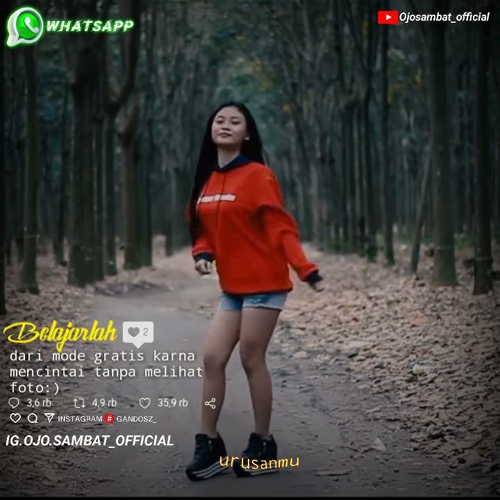 🔴Story wa 30 detik joget ambyar keren [ojo.sambat_official]