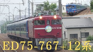 9601レ 急行津軽 ED75-767+12系5B(7/2)