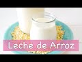 Básicos: Cómo hacer LECHE DE ARROZ | Leches vegetales