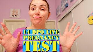14 DPO Live Pregnancy Test//Cycle 5 TTC baby #4 is still not over// What is going on? Am I OK?