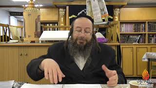 הרב כרמל-תורה יח'-שיעור 5