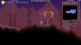Terraria Brain Of Cthulhu Vs Arkhalis No Armor Speed Kill
