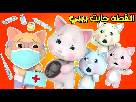 القطة جابت بيبي قناة لولو لاليلو
