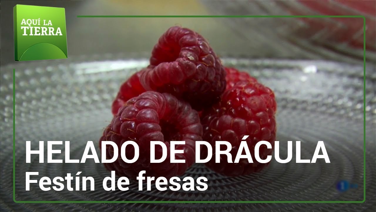 Un festín de fresas | Aquí la tierra
