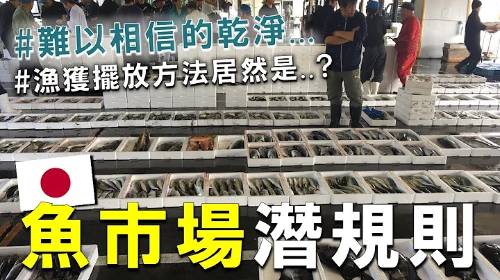 东九州县下最大鱼市场！如何进入日本的批发鱼市场呢 ? 来看看日本职人示范极速活缔血拔 ! ft.大分渔协鹤见支店 Japan fishmarket - 天天要闻