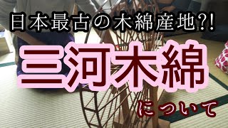 #48　きものの産地解説　「三河木綿について」【三河木綿・岡崎市・おおがや・呉服店】