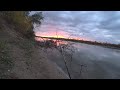 САЗАН ПРЁТ В КОРЯГИ ! Рыбалка на Дону в Волгоградской области. #фидер2020 осенью на реке Дон.