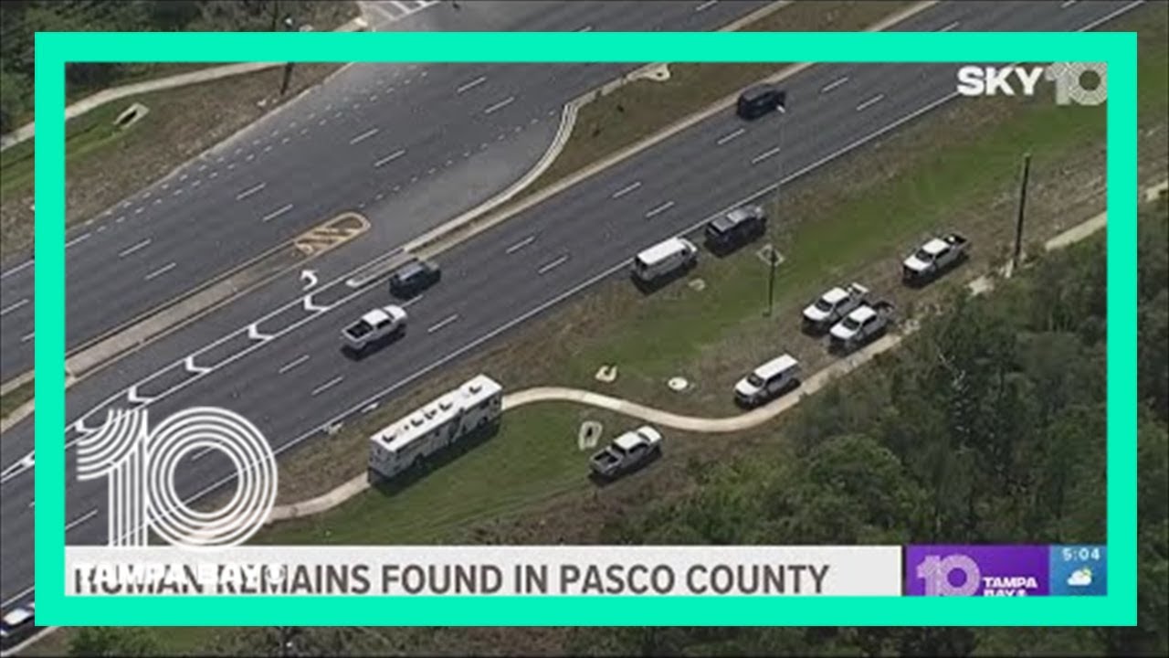 Deputies: Human remains found in Pasco County woods - YouTube