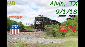 Railfanning Alvin, TX 9/1/18 Ft. CN, Colorful lashup, NS Tophat, H1 D9,+More!
