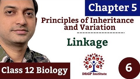 Linkage and Recombination | Chapter 5 | Principles of Inheritance and Variation - 06 | Class 12 |
