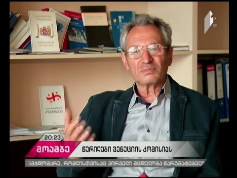 რას ითხოვს ოპოზიცია და მესამე სექტორი ვენეციის კომისიისგან