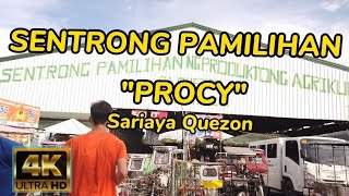 Sentrong Pamilihang Agrikultura Ng Quezon Procy Sariaya Quezon Nomadic Ph 4K