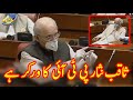 Saqib Nisar PTI Ka Worker Hai | Mushahid Ullah Khan Speech in Senate today