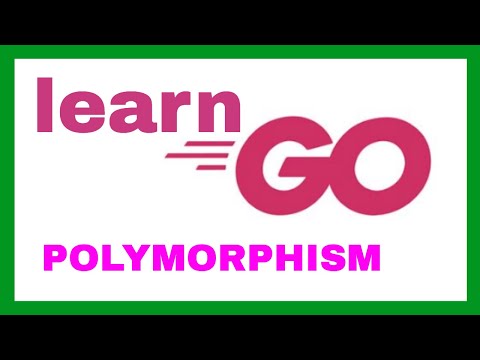 Golang Polymorphism Tutorial
