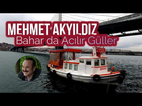 Mehmet Akyıldız -Bahar da Acılır Güller