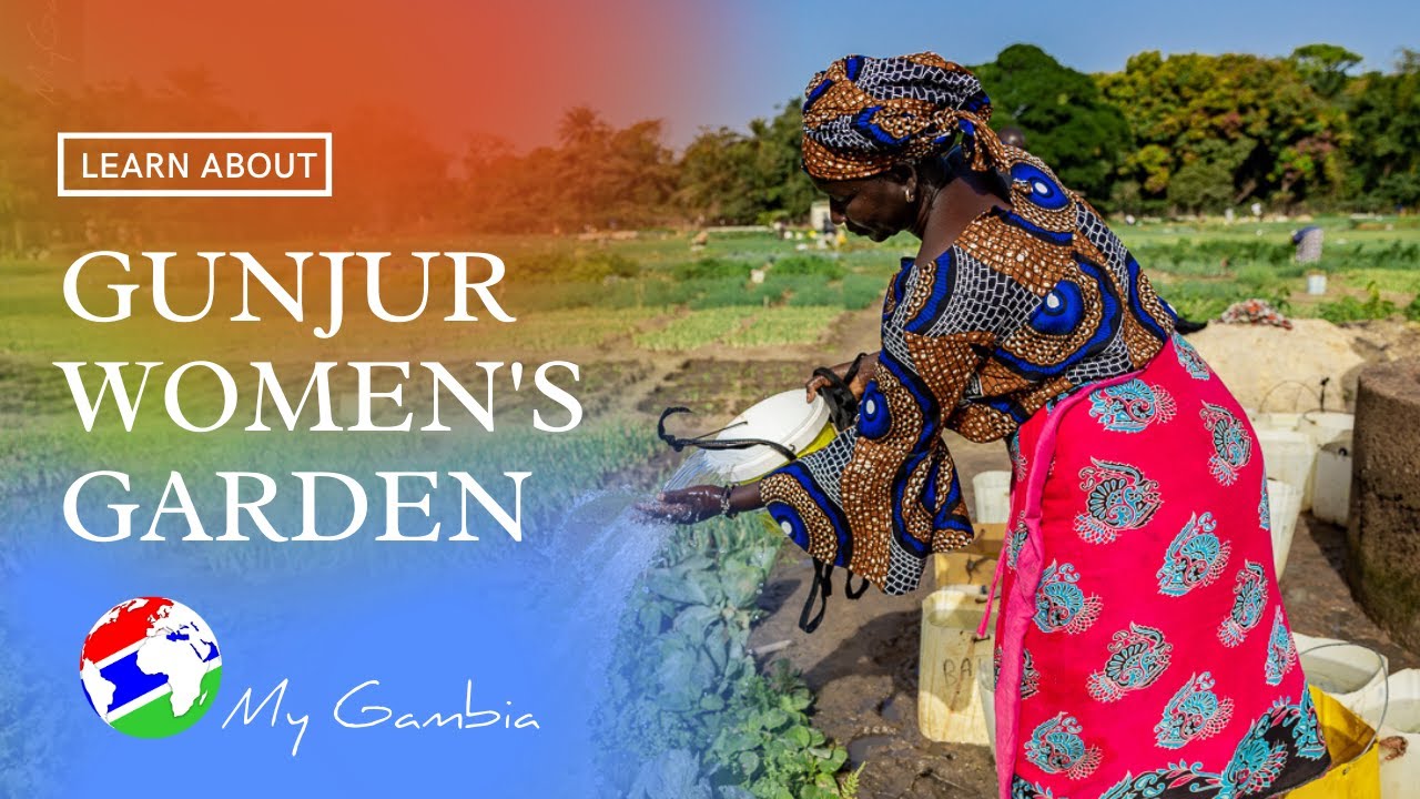 Gunjur Women's Garden: A Haven of Empowerment and Nurturing Community