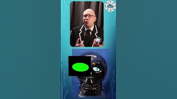 Using Waveshare Screens for a Halloween build.