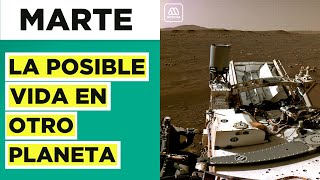 Vida en Marte | La latente oportunidad del futuro