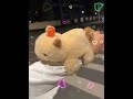 Give me a cute hugging capybara based on our relationship