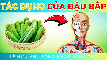 10 Tác dụng Tốt Không Ngờ của ĐẬU BẮP với Sức Khỏe (điều gì xảy ra khi Bạn ăn mỗi ngày)