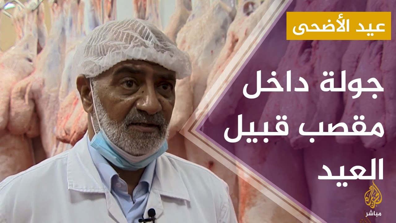 قطر.. جولة داخل مقصب الوكرة  للتعرف على استعدادات عيد الأضحى المبارك