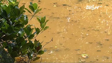 (VTC14)_Mùi hôi khu nam Sài Gòn - lỗ hỏng trong công tác quan trắc môi trường