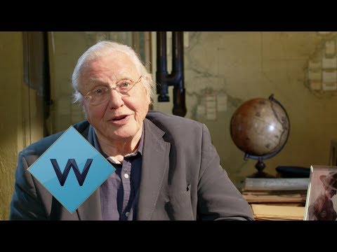 David Attenborough's Natural Curiosities S4 Ep 1 | Carrier Pigeon WW1 | W