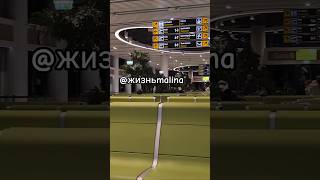 ПОЛНОЕ ВИДЕО НА КАНАЛЕ #подпишись #путешествия #животные #рекомендации #туризм #турция