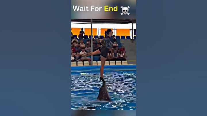Girl handle Ultimate Dolphin 😍✨Jab Dolphin trick Me Hui #trending