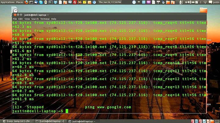 how to check to see if your internet connection is active on linux by doing a ping