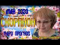 Скорпион таро прогноз на май 2020г