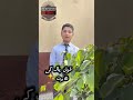 Wait till you see our Ramzan activities👀🌙✨#ramzan #school #viral #foryou