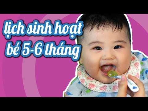 Video: Trẻ Sáu Tháng Tuổi Ngủ Bao Nhiêu Lần Một Ngày