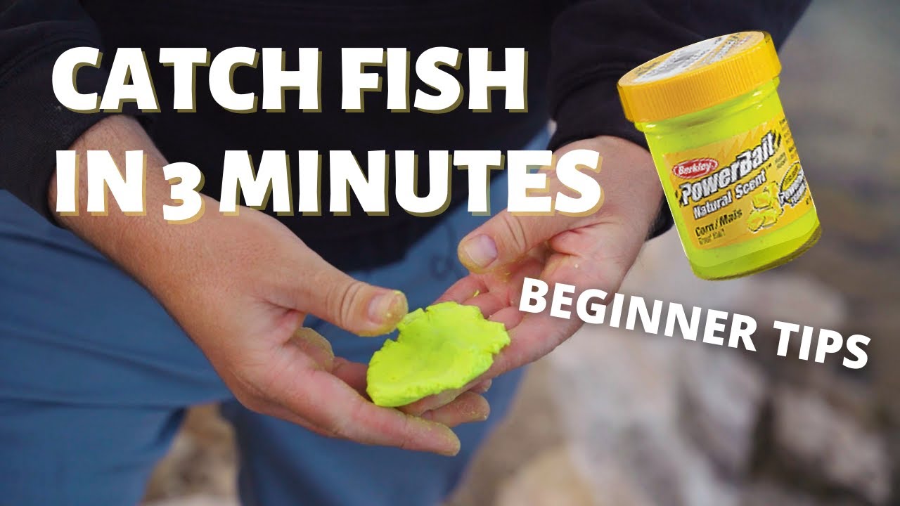 Catching Fish with PowerBait in 3 MINUTES - 5 Things Every