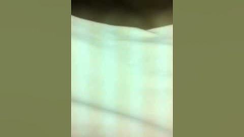 القارئ وليد الفريدي