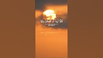 سورة المائدة الآية 112 و 113 بصوت القارئ سعود الشريم