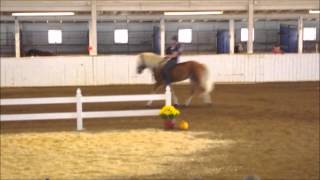 AHR Fall Sale 2013 Tribute Ride