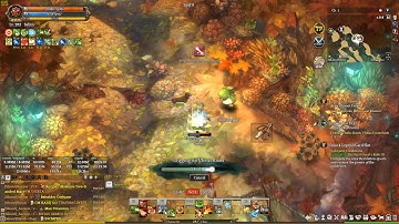 Tree of Savior Walkthrough 152 Nheto Forest Side Quests