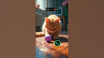 cat is calling #ringtone #smartphone #music #ringtones #song #iphone #cat #funnycallringto #callm