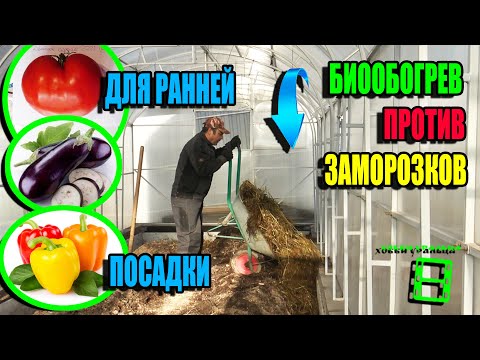 BIO-HEATING A GREENHOUSE FOR EARLY PLANTING OF CUCUMBERS, TOMATOES, AND PEPPERS. WEEKEND ECO-GARD...