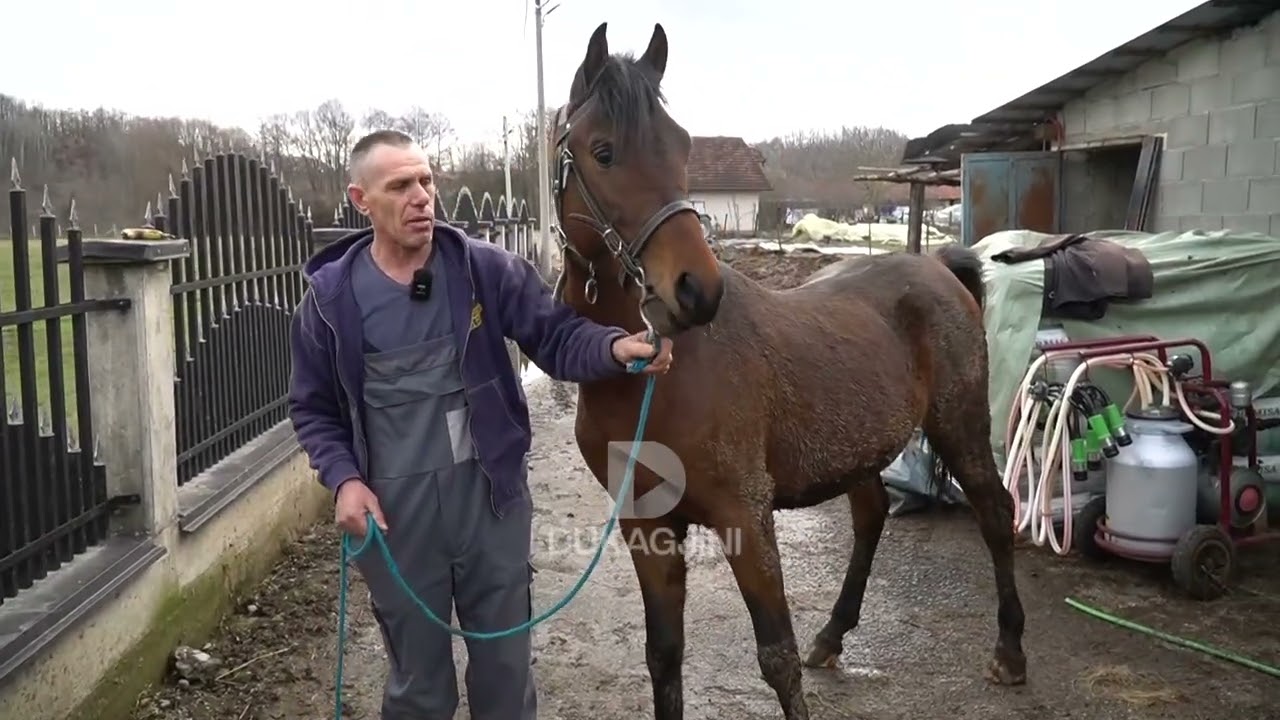 “10 MIJË EURO HYRA NË KREDI PËR TË NDËRTUAR NJË FERMË”