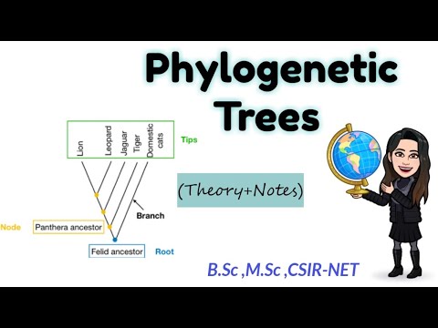 Phylogenetic Trees -Full Theory Explanation|B.sc M.sc CSIR-NET |Part-1 hindi +English ◆ Easy Notes