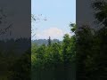 Now closer to 22nd..See Mount Baker wow such a sight ✌️☺️ Had to film od course