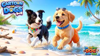 🔴Enjoying Cartoon For Dogs 🐕 Animation to relax your puppy at home 🏡 Live Dog Cartoon 12h screenshot 2