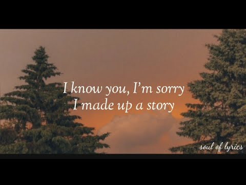 Sorry-Alan Walker(feat. ISÁK)( lyrics)